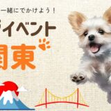 【2025年最新版】関東の犬と一緒に楽しめる年間ペットイベント