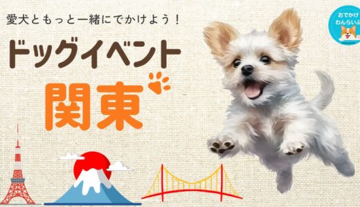 【2025年最新版】関東の犬と一緒に楽しめる年間ペットイベント