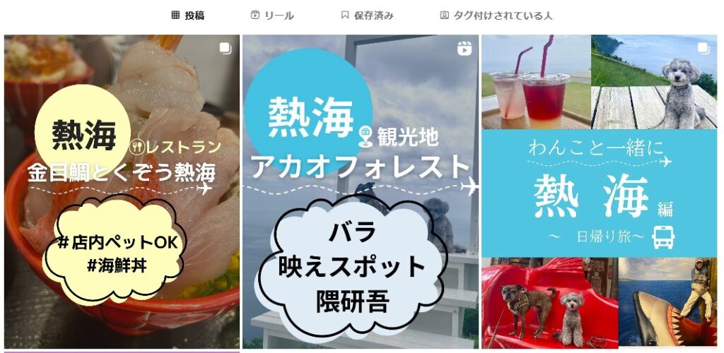 おでかけわんらいふインスタBIG