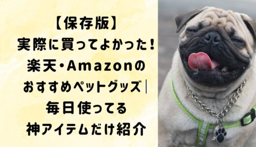 【保存版】実際に買ってよかった！楽天・Amazonで買えるおすすめペットグッズ5選｜毎日使ってる神アイテムだけ紹介
