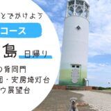 ペットと日帰り旅行城ケ島