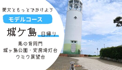 【ペットと一緒の日帰り旅行】みさきまぐろ切符を使ってお得に城ヶ島の絶景スポットとグルメを楽しむ