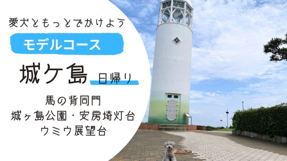 ペットと日帰り旅行城ケ島