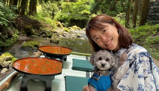 おでかけわんらいふ西岡由美子