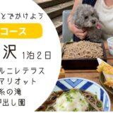 【軽井沢ペット旅】自然と温泉に癒されるワンコと一緒の1泊2日モデルコース