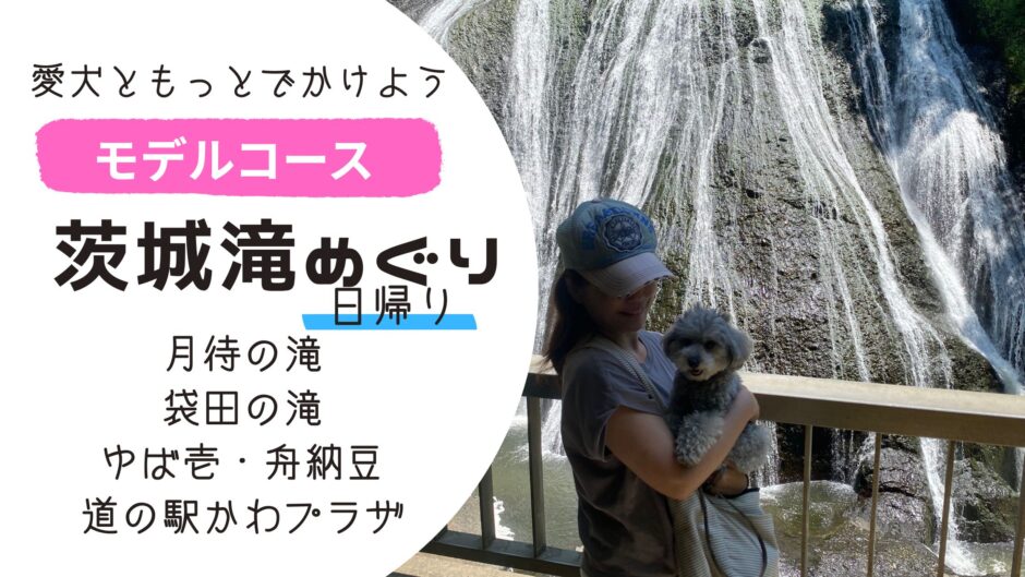 【愛犬と涼しい夏旅】茨城・大子町の滝めぐりモデルコース｜袋田の滝・月待の滝・おすすめグルメ